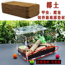 Beetle crawling adult feeding box mat