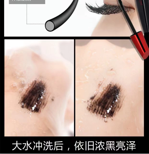 Lắc cùng mascara uốn cong không thấm nước không nở mã hóa dài dài tự nhiên tăng trưởng lỏng thiên nga đen