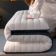 Mattress soft latex home thickened student dormitory mat