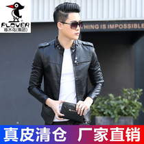  Woodpecker leather leather jacket mens spring and autumn short stand-up collar Korean slim-fit handsome jacket trend motorcycle leather jacket