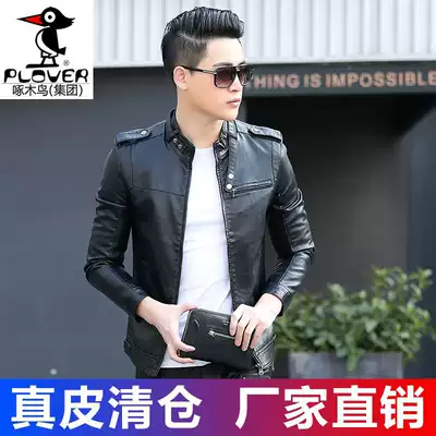Woodpecker leather leather clothing men's spring and autumn short style collar Korean version of slim handsome coat trend motorcycle leather jacket