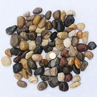 2-4 модель красочная