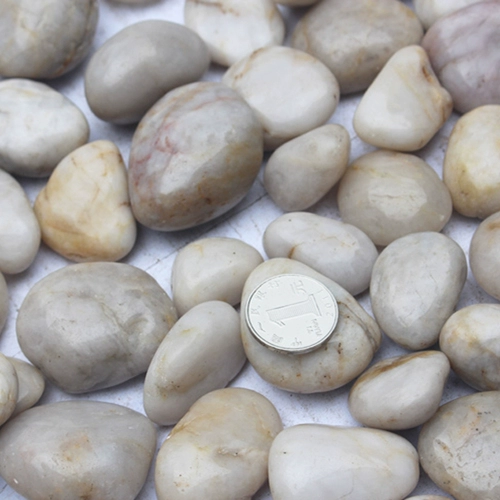 Натуральный нанкин юхуа белый гусь яиц -сад Массаж Посадка земля Земля растения растения цветочный бассейн ландшафтный ландшафт Белый камень