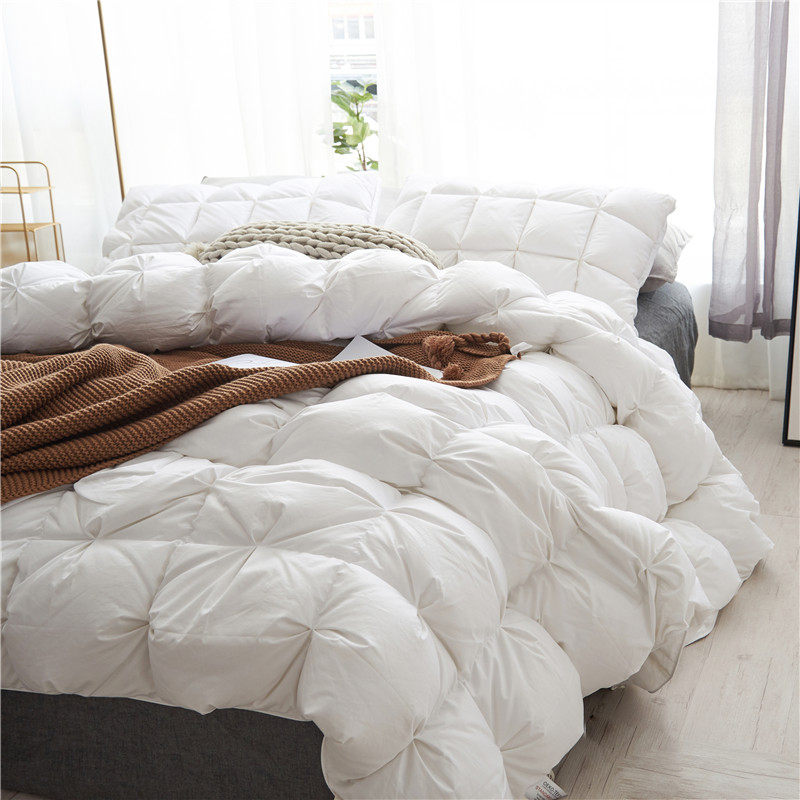 Winter thickened and warm 95 white goose down winter quilt high-end five-star hotel double silent down quilt cotton quilt core
