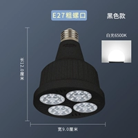 Par Black Shell 6500K Белый свет