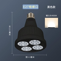 Par Black Shell 4000K теплый белый свет