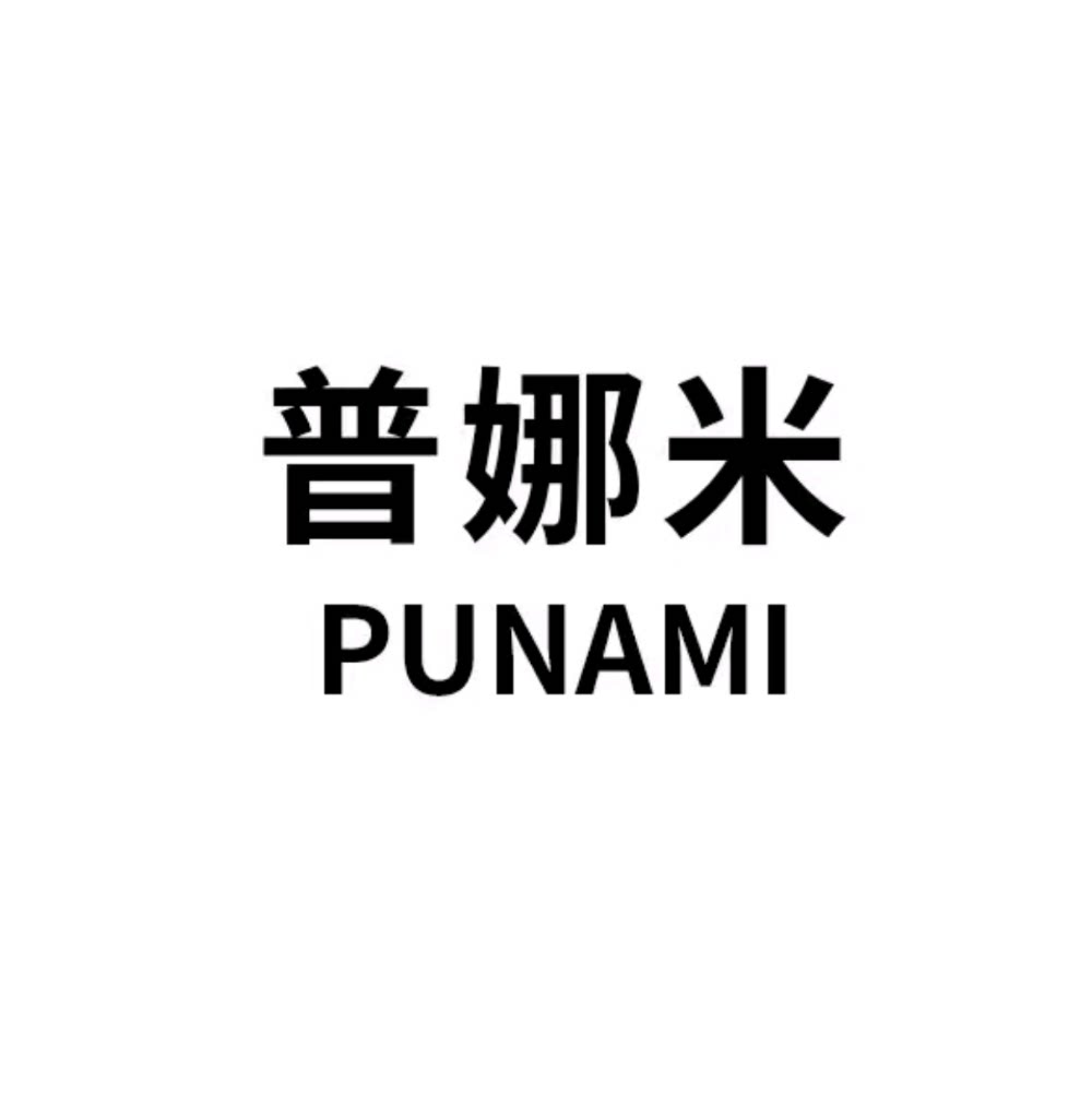 普娜米旗舰店