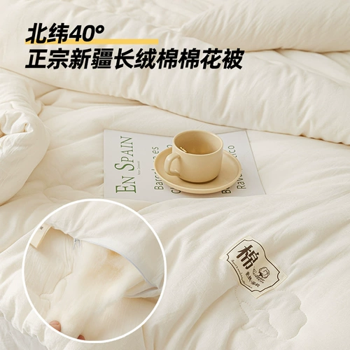 Синьцзян цельное хлопковое стеганое одеяло является зимой от общежития из одеяла Тандиана, одиночного ученика и теплой весны и осени, Core 2024 New