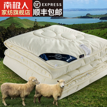 Antarctic New Zealand wool quilt winter thickened warm cotton quilt core single air conditioning quilt double spring and autumn bedding