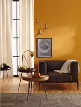 Fall Leaf Yellow Interior Wall Net Taste Environmental Protection Background Wall Emulsion Paint Retro Color Wall Paint Color Water-based Yellow Paint