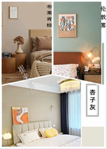 Apricots Ash London Fog Interior Wall Matte Environmental Protection Net Taste Emulsion Varnish Mesh Red Dune Color Background Wall Furniture Self-Brushed Lacquer