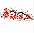 舞动达人严选店