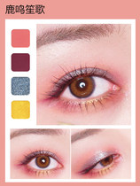 Beauty Con Pink poetry via twelve Color Eye Shadow disc Pink Female Big Geo stone multicolored matte Pearls Beginners Sloth