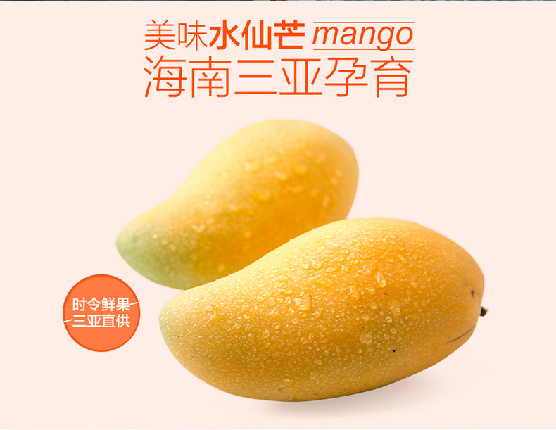 【促销好货】爆甜多汁 海南水仙芒(金煌芒)5斤