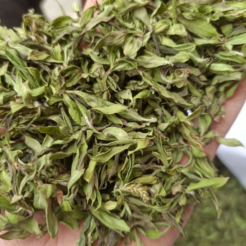 2026 New Stock】Chinese Herbal Medicine: Willow Fluff, Willow Buds, Tender Willow Buds, Willow Bud Tea, Sun-Dried, Traditional Handcrafted