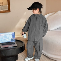 Темно -серой