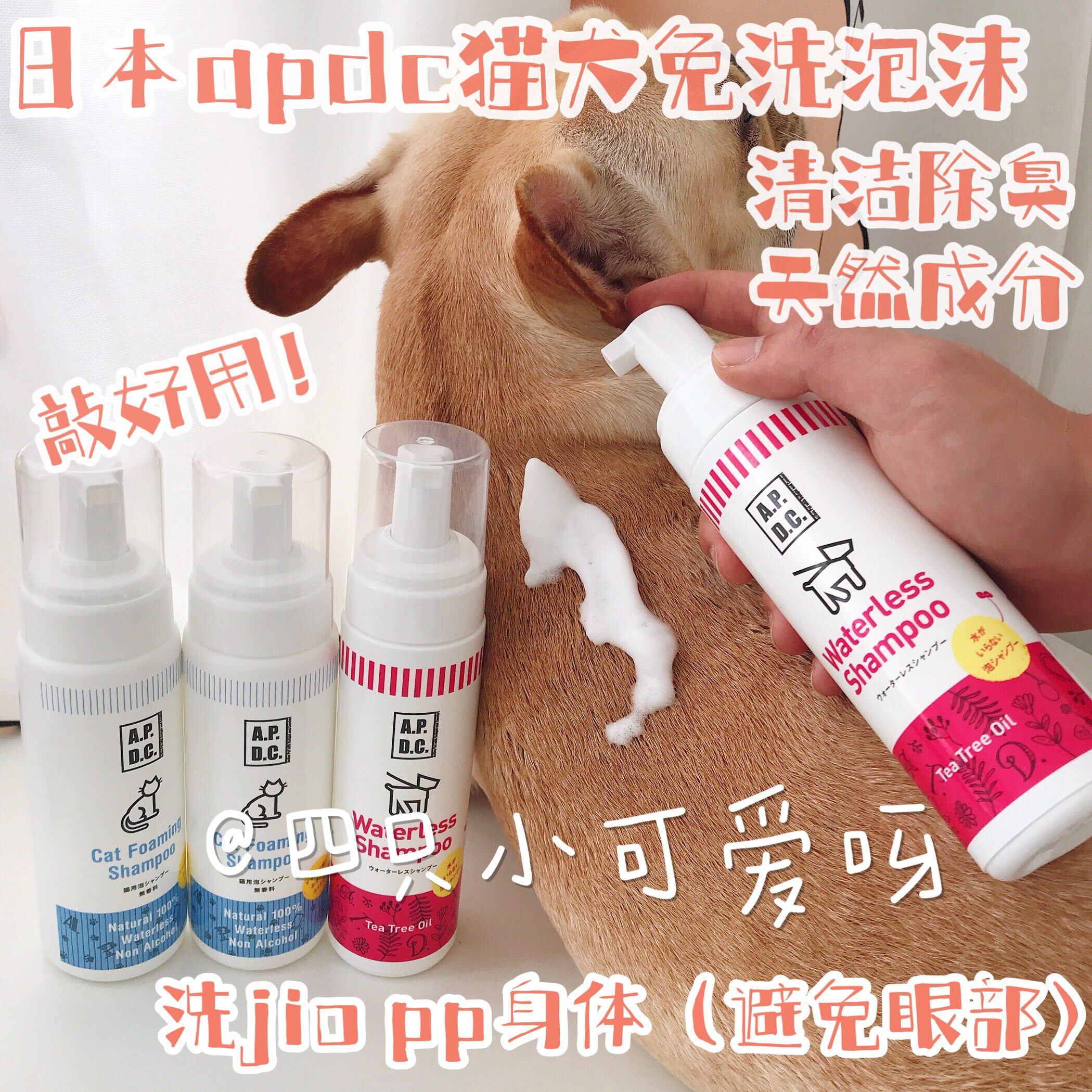 Japan APDC Free Wash Dry Cleaning Foam Natural Germicidal Deodorant Nourishing Sole Fastfighting Body Care Bubble Cat