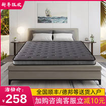 Seahorse mattress plus hard artifact natural coconut palm mat 1.2 single dormitory 1 meter folding brown mat custom made