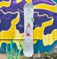 21-22 Capita Doa mens Veneer Ski board Mighty Board Park Slide Flat Flower Board