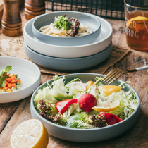 Yizhen Nordic matte ceramic salad plate Disc deep plate nest plate White simple household soup plate dish plate shallow bowl