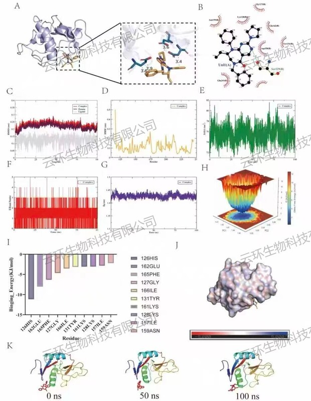985 Phd Students Provide Molecular Docking, Molecular Dynamics Simulation, and Gromacs Modeling Services, Mmpbsa