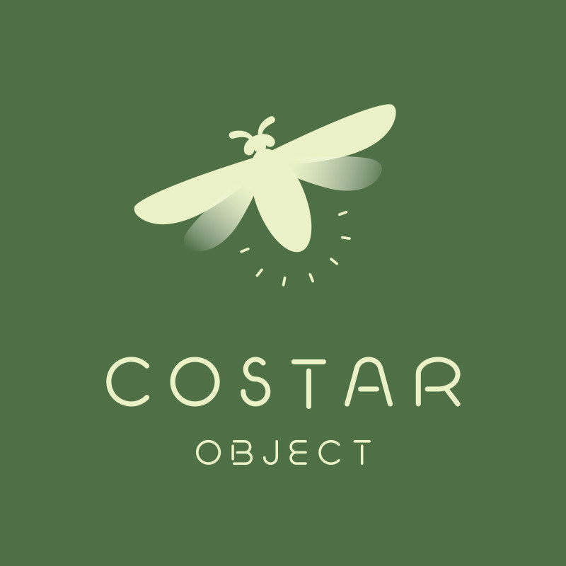 COSTAR 原创首饰的LOGO