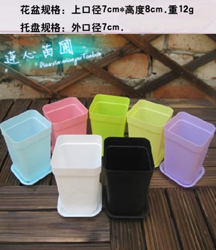 Hình vuông ban công mọng nước nhựa nhựa chậu hoa nhỏ bình hoa cá tính sáng tạo lưu vực - Vase / Bồn hoa & Kệ chậu ghép thông minh