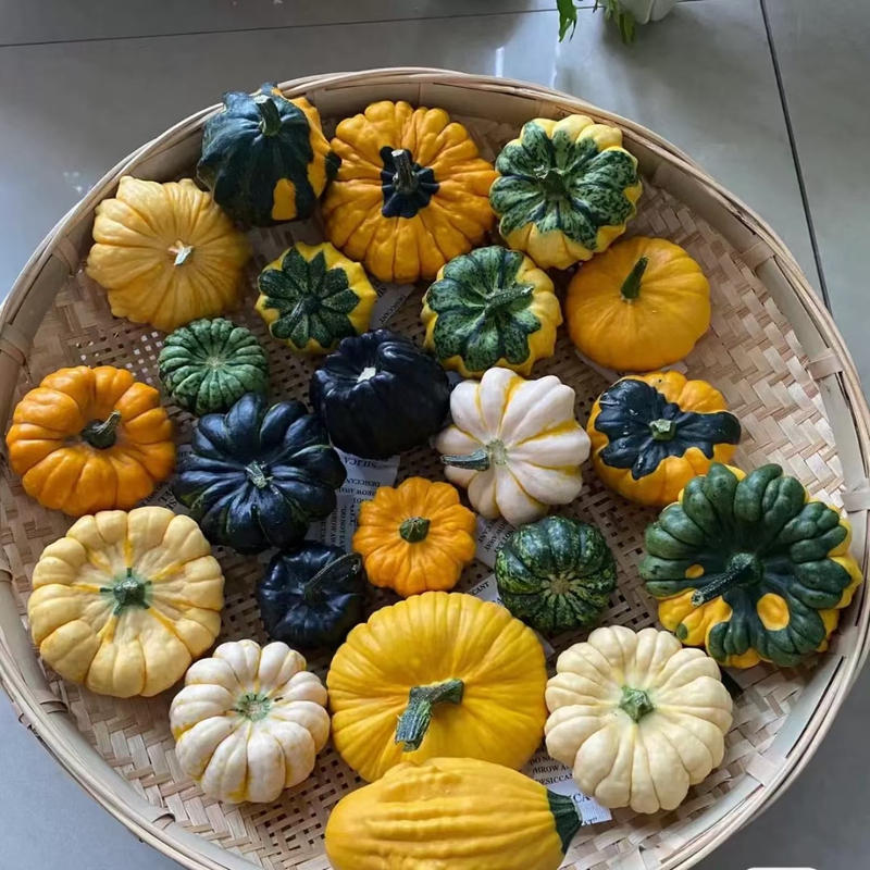 【Mexican Gourd】Decorative Pumpkin Small Pumpkin Toy Decorative Ornament Directly Shipped from Yunnan Flower Base