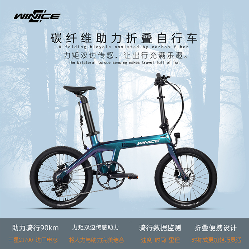Winice Carbon Fiber Electric-Assisted Folding Bicycle 20inch Double Oil Disc Brakes Ultra-Light Bicycle for Adults, Men, Women and Kidsren