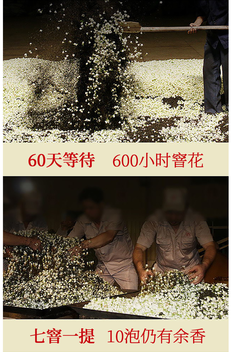 祁翠 特级浓香 茉莉花茶 100g罐 图4