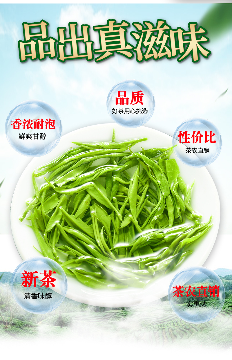 祁翠 高山云雾绿茶 250g 图2