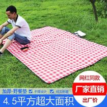 Portable carpet cushion picnic mat sleeping moisture-proof mat spring outing mat grass floor mat lawn mat wild cartoon single