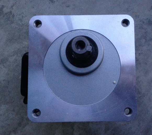 Taiwan LY LUSON LMS motor J2201810012 5C J220V1820015C Motor