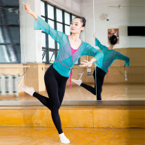 Ballet dance costume adult practice uniform trumpet sleeve classical dance gauze coat female performance clothing net gauze body rhyme uniform