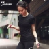 Thật vậy, mùa xuân và mùa hè áo khoác thể thao thoáng khí quần áo thể dục ngắn tay bó sát quần skinny bó sát chạy nhanh áo thun nữ Áo phông thể thao