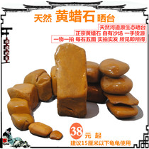 Tortoise drying platform natural yellow wax stone fish turtle jar landscaping decoration yellow edge turtle climbing sun back hair color 38 yuan