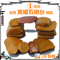 Natural yellow wax wax stone turtle sun stage fish tank landscaping yellow throat turtle hair color sun back rest rockery feng shui original stone