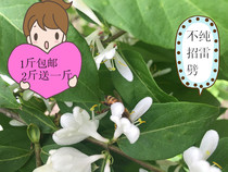 Deep mountain honey Hundred flower honey Linden honey Natural acacia honey Changbai Mountain honey Linden honey Farmer conscience honey