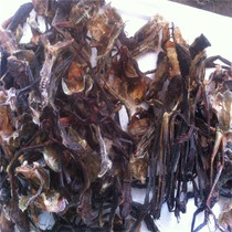 Snow clam skin forest frog Skin forest frog dry forest frog oil Whole leg snow clam skin
