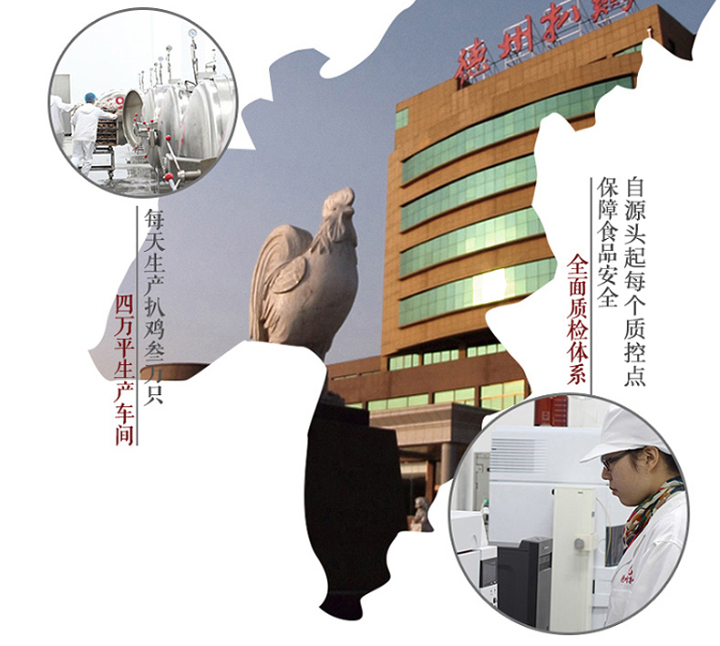 中华老字号 国家非物质文化遗产  德州扒鸡 550g/盒 图8