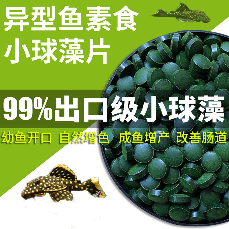 Small Balls Algae Fish Food Feed Profiled Fish Beard Large Sails Sumpy Bottom Fish Food Labyrinth Gold Zebra Shrimp Fry Opening