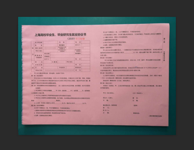 Shanghai University Students' Four Union Single Guidance Assistance Guidance Employment Letter of Agreement to Help General Check-in Agreement Contract