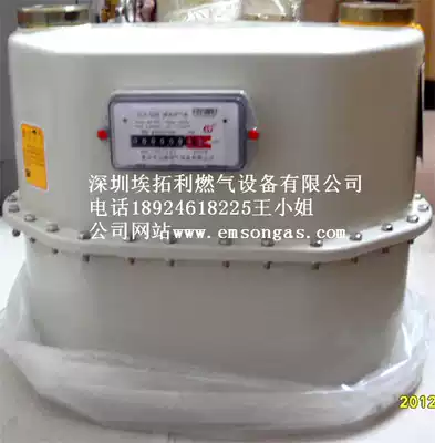 G65 gas meter G25 gas meter G40 flow meter G16 membrane gas meter G6 gas meter G100 flow meter