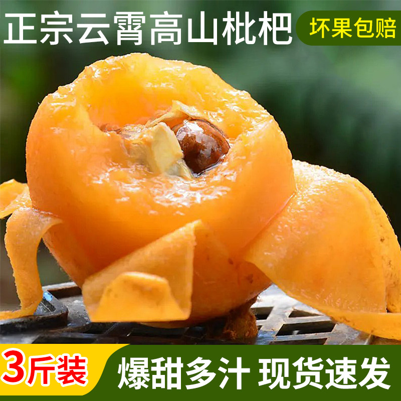 福建云霄甜枇杷3斤新鲜当季孕妇水果现摘农家琵琶果大果整箱顺丰