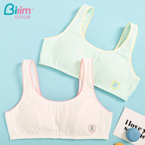 Bai Ling Bai Li girl bra underwear Female student development period small chest no rim vest big child bandeau