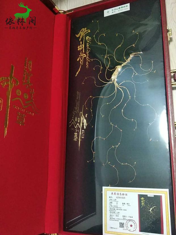 25 25 years left and right Changbai Mountain wild forest Next to Northeast Mountain Ginseng Gift Box Wild Mountain Ginseng Ginseng Box Wild Mountain Ginseng Seed Goods