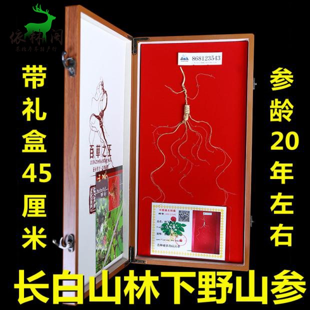 About 20 years ago, Changbai Mountain wild forest ginseng Northeast ginseng gift box wild ginseng ginseng gift box moved mountain ginseng seeds