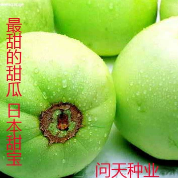 Высоко -лет японский сладкий перми, сладкая тыква, пружина весна весна, супер сладкий старый различные растительные фрукты семян семян семян семян