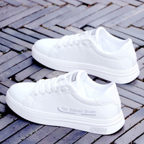 Spring breathable small white shoes mens shoes 2023 new tide shoes mens leisure shoes