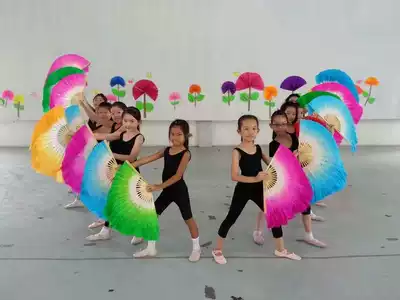 Children's Yangge double-sided silk fan dancing fan square dance fan custom factory direct sales flower drum lamp fan 4